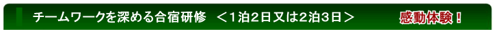 企業のチームワークをアップする合宿研修